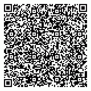 vCard 79131101005