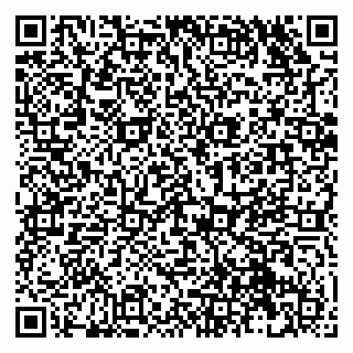 vCard 79131102002