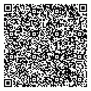 vCard 79131102003