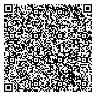 vCard 79131102004