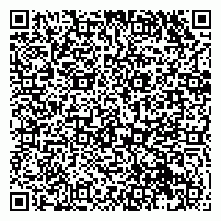 vCard 79131102005