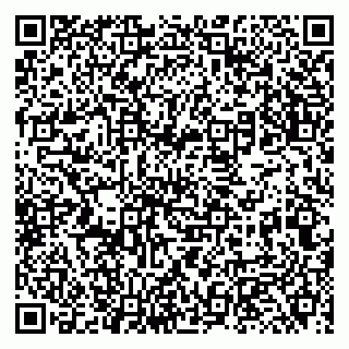 vCard 79131102007