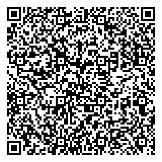 vCard 79131102010