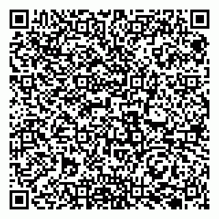 vCard 79131102020