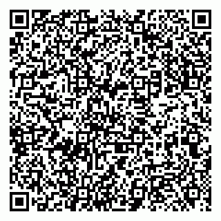 vCard 79131102139