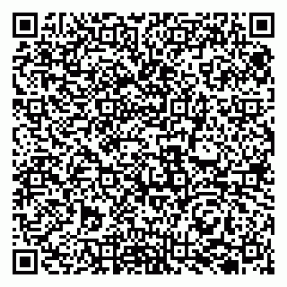 vCard 79131102155