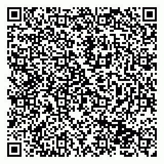 vCard 79131102173