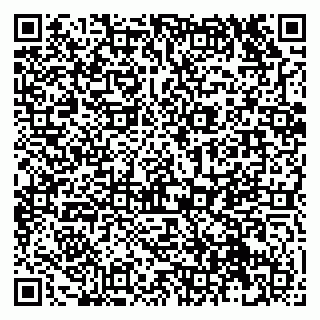 vCard 79131103003