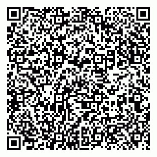 vCard 79131103085
