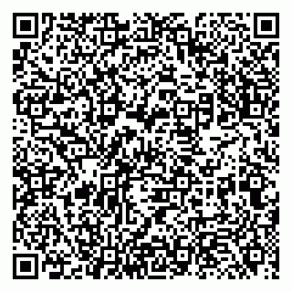 vCard 79131103333