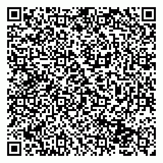 vCard 79131104100