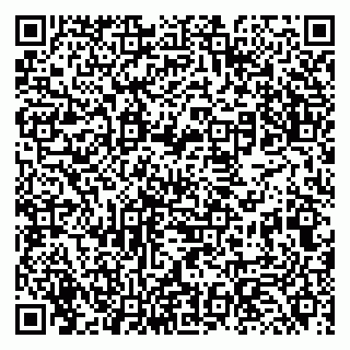 vCard 79131105294