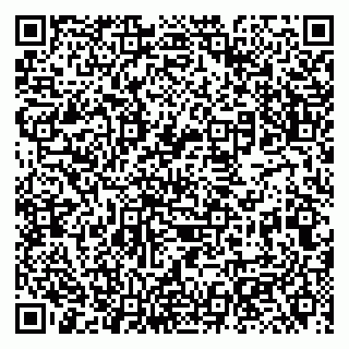 vCard 79131105536