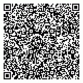 vCard 79131106303