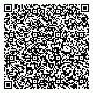 vCard 79131106331