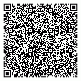 vCard 79131106403