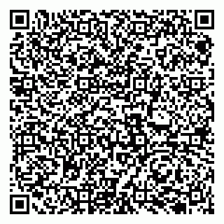 vCard 79131106803