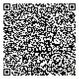vCard 79131107101
