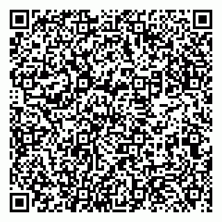 vCard 79131107201