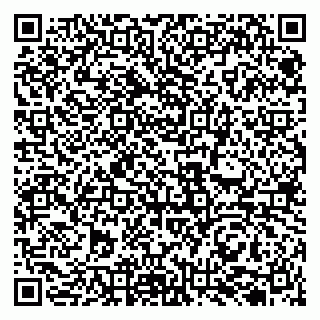 vCard 79131107403