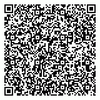 vCard 79131108341