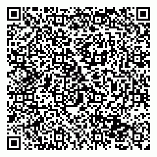 vCard 79131109504