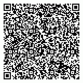 vCard 79131110016