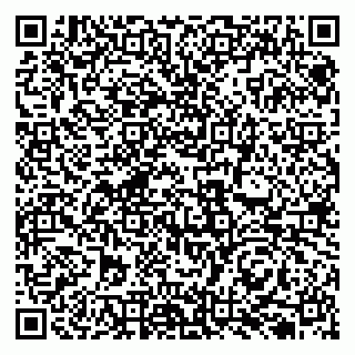 vCard 79131110294