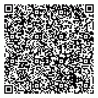 vCard 79131110331