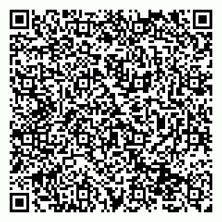 vCard 79131111005