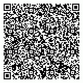 vCard 79131111006