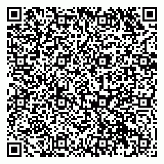 vCard 79131111009