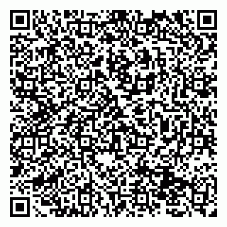 vCard 79131111010