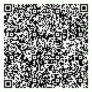 vCard 79131111017