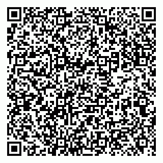 vCard 79131111110