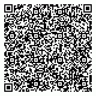 vCard 79131111124