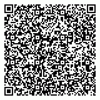 vCard 79131111161