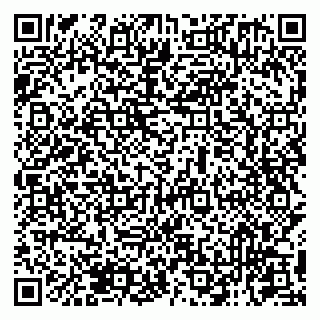 vCard 79131111199
