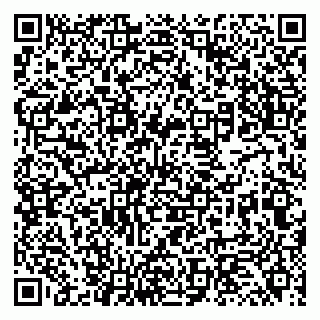 vCard 79131111212