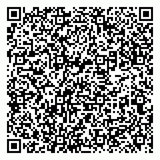 vCard 79131111403