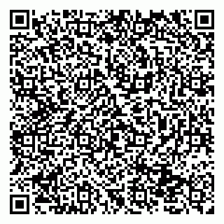 vCard 79131111581