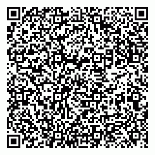 vCard 79131111696