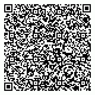 vCard 79131112334