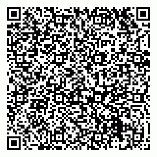 vCard 79131113331