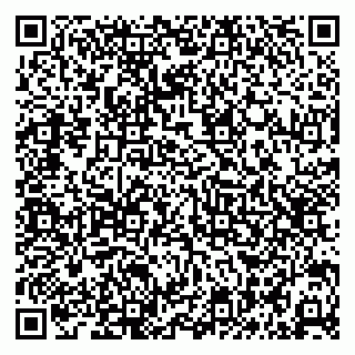 vCard 79131114067