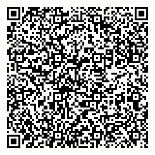 vCard 79131114093