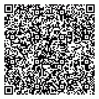 vCard 79131114130
