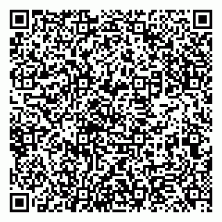 vCard 79131114331