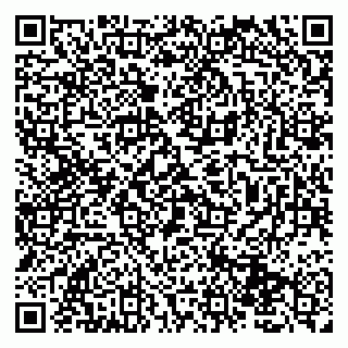 vCard 79131114785