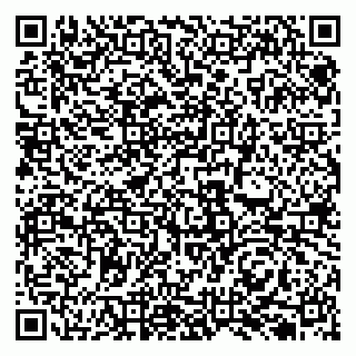 vCard 79131115294